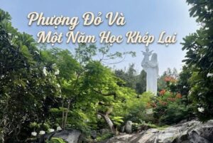 Dòng Chúa Cứu Độ Việt Nam 4 IMG 5286